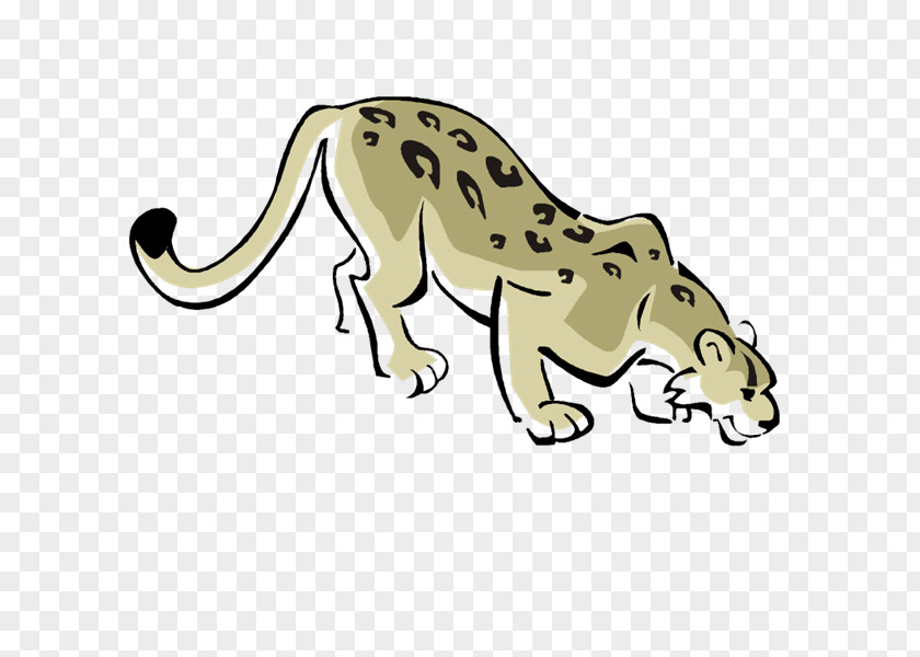 Persian Leopard Cheetah Tiger Lion Cat PNG