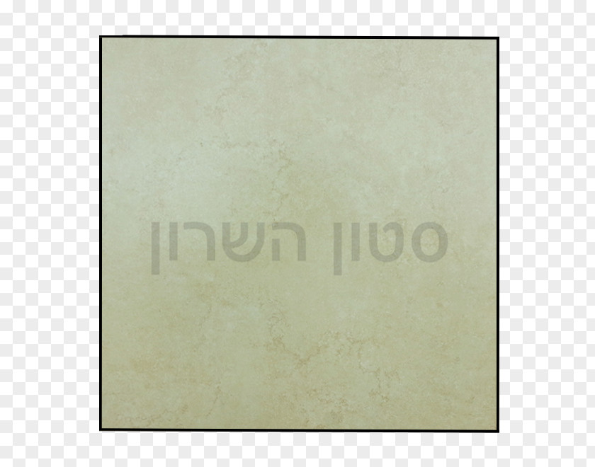 Sharon Stone Picture Frames Rectangle Material Pattern PNG