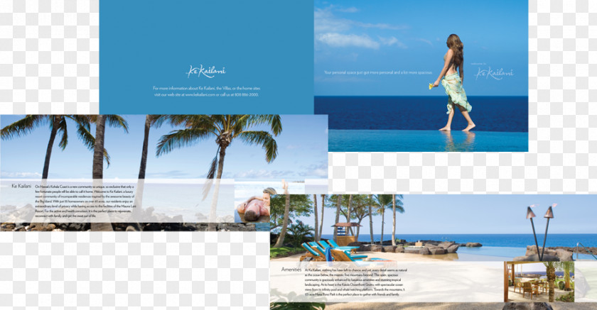 Agency Brochure Team Vision Marketing Advertising Brand PNG