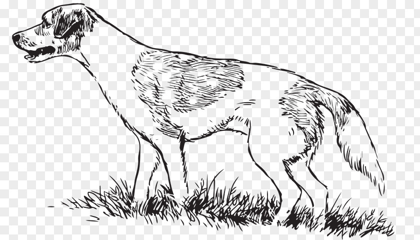 Boar Hunting Dog Breed Greyhound Drawing PNG