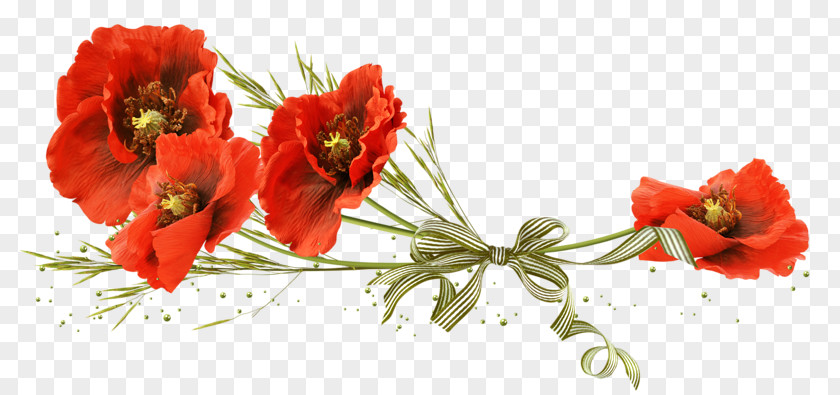 Clip Art Poppy Image Free Content PNG