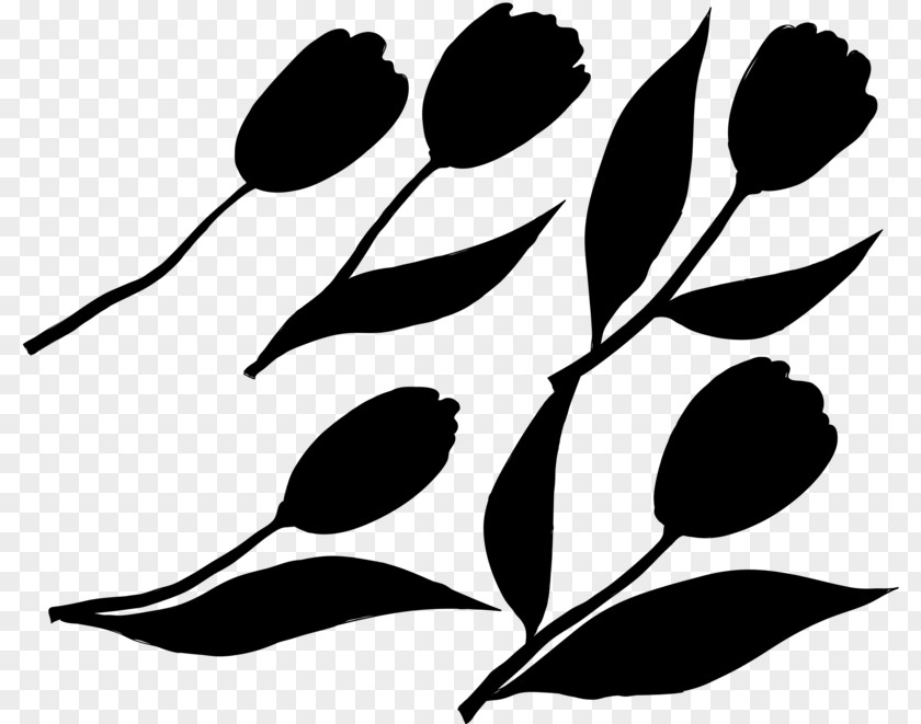 Clip Art Twig Plant Stem Pattern Leaf PNG