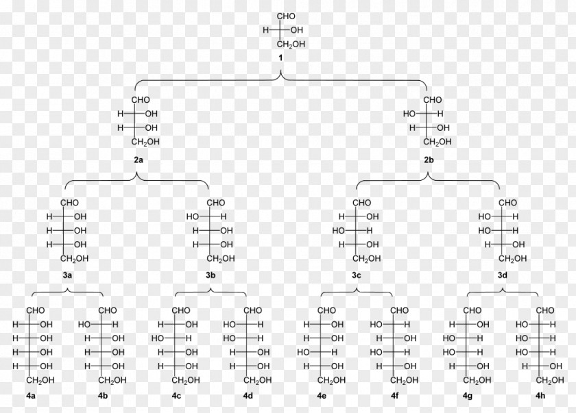 Family Tree Aldose Glyceraldehyde Threose Fischer Projection Ketose PNG