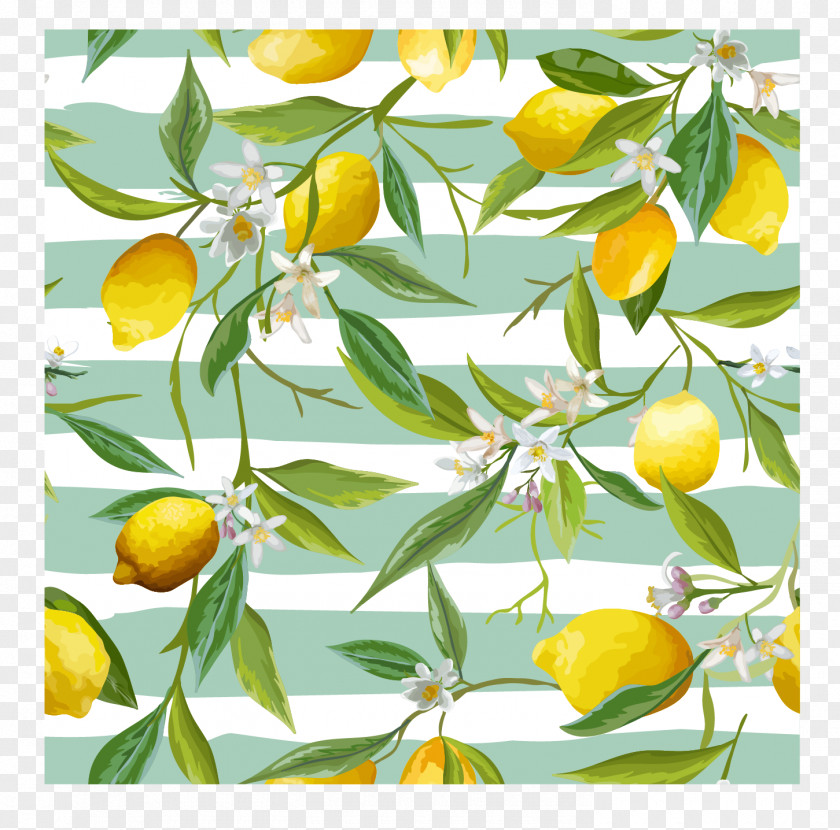 Fresh Lemon Flower Stock Photography Leaf PNG