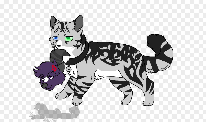 Kitten Whiskers Tiger Cat Horse PNG