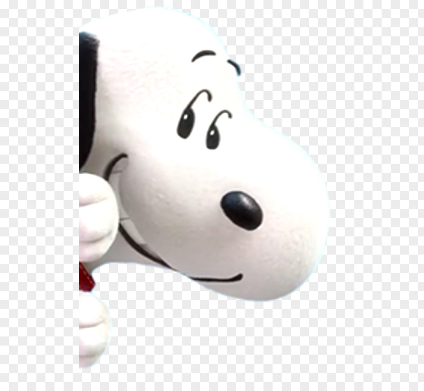 Snoopy Charlie Brown Sally Linus Van Pelt Lucy PNG