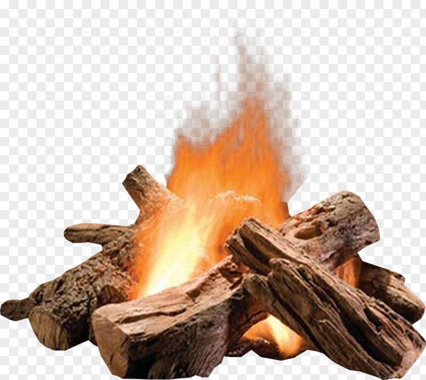 Summer Water Wood Campfire Fire Pit Fireplace Gas Log Vented PNG