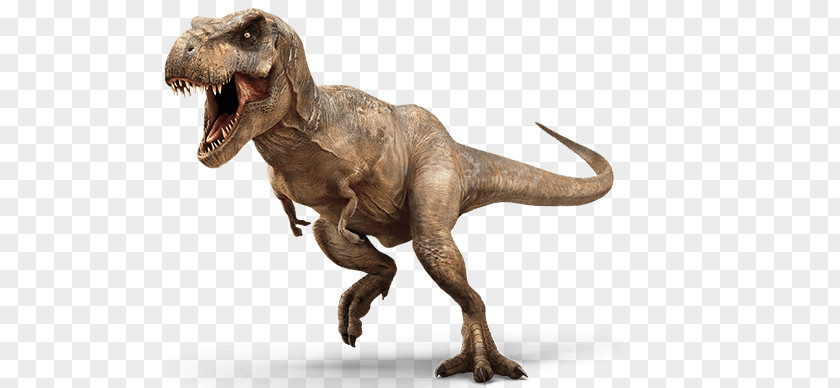 T-Rex Dinosaur PNG Dinosaur, brown jurassic illustration clipart PNG