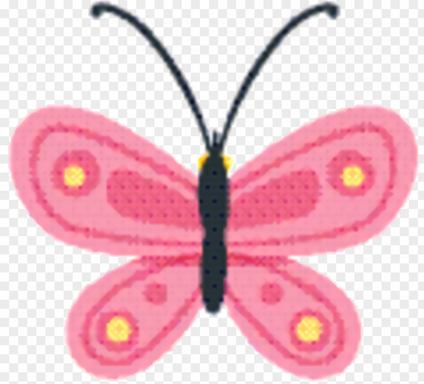 Wing Pollinator Butterfly Cartoon PNG