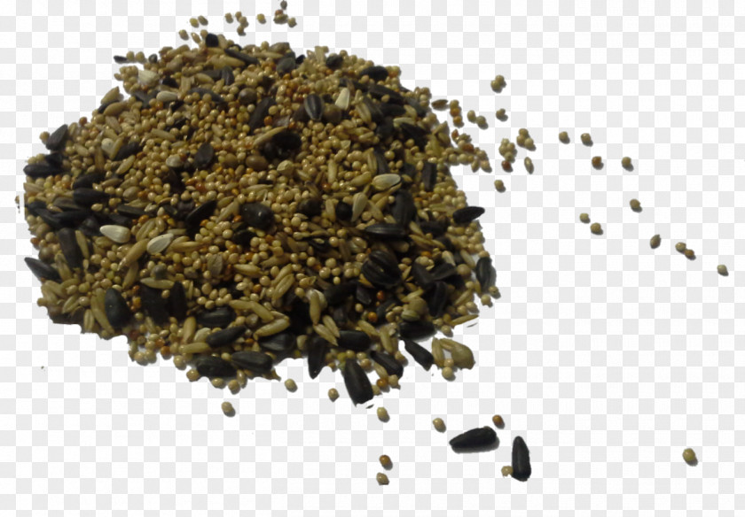 Assam Tea Seasoning Mixture Camellia Sinensis PNG