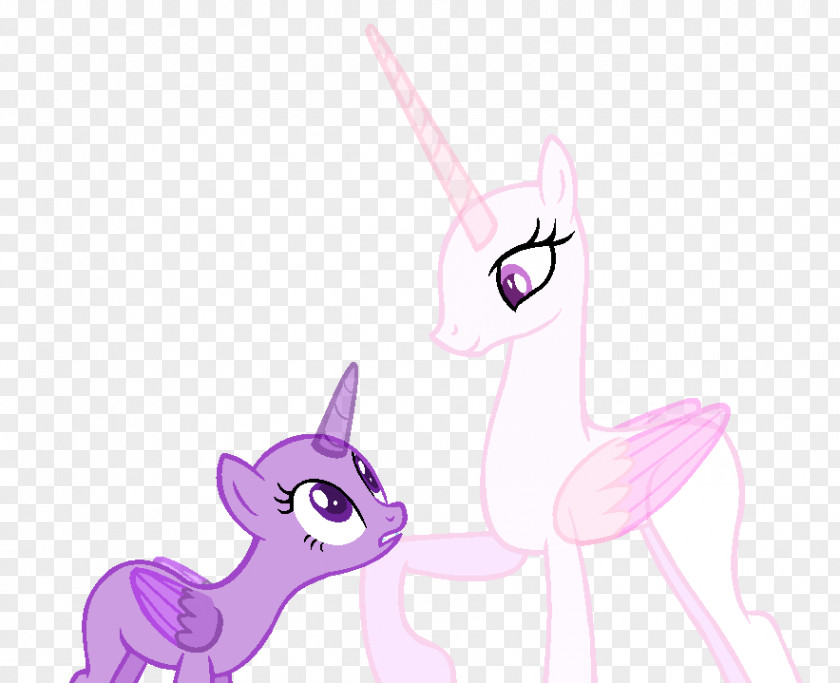 Chin Vector Cat Horse Mammal Drawing Pony PNG