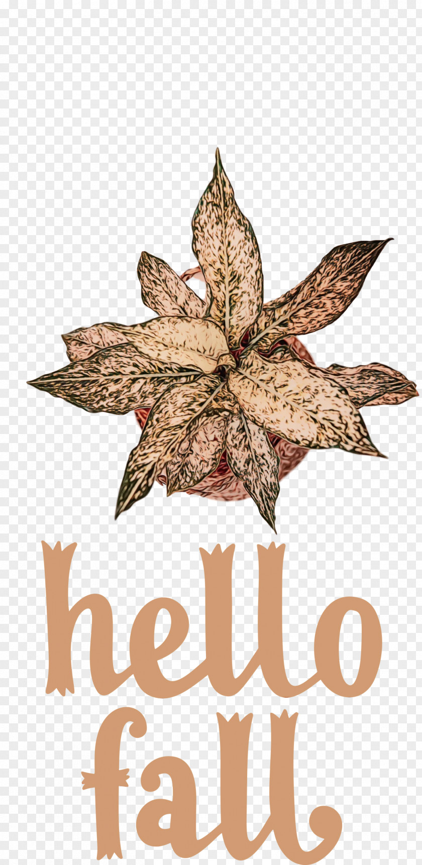 Hello Fall Autumn Cdr Drawing 2020 PNG