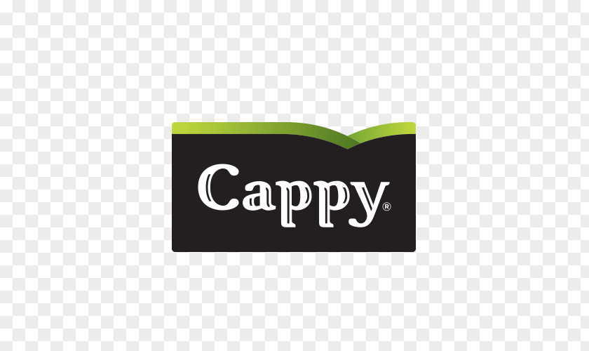 Juice Cappy Squash The Coca-Cola Company Orange PNG