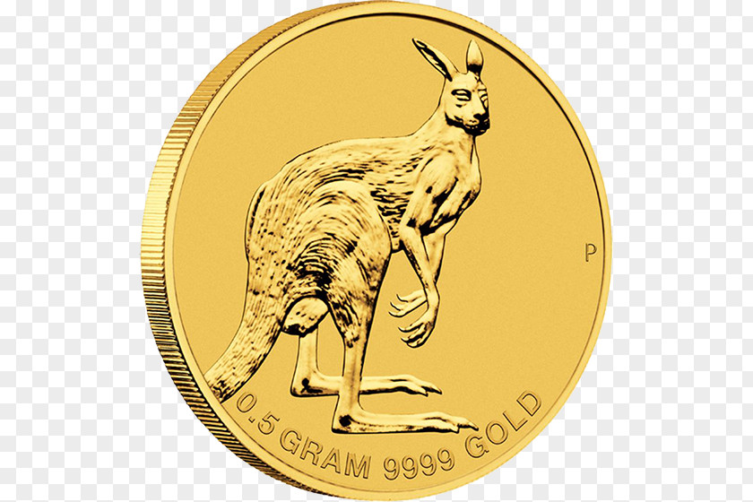 Lakshmi Gold Coin Perth Mint Bar PNG