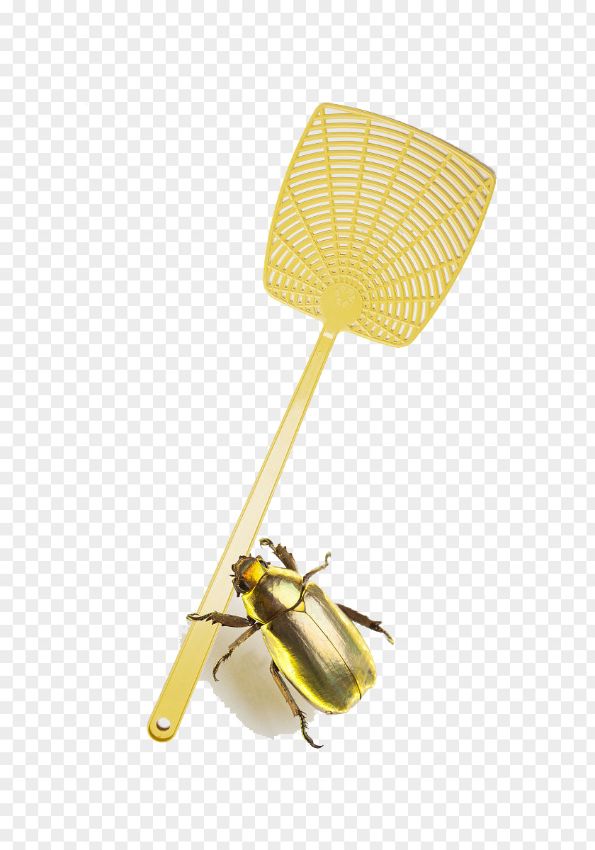 Light Yellow Flies Shot Fly-killing Device PNG