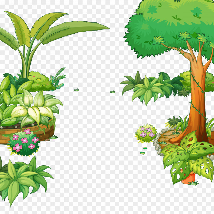 Vector Forest Park Tree Gardening Illustration PNG