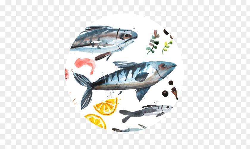 Yeri Vahit'in Shellfish Seafood Sardine PNG