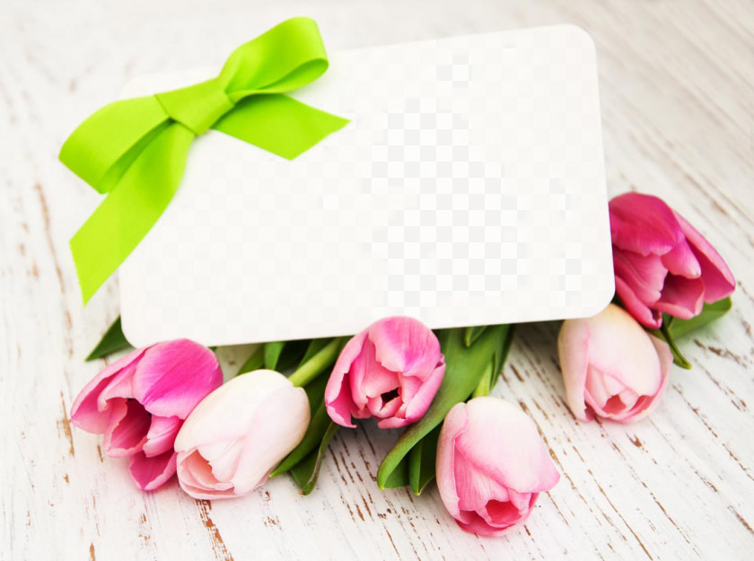 Beautiful Tulips And A Card Garden Roses Paper Tulip Flower PNG