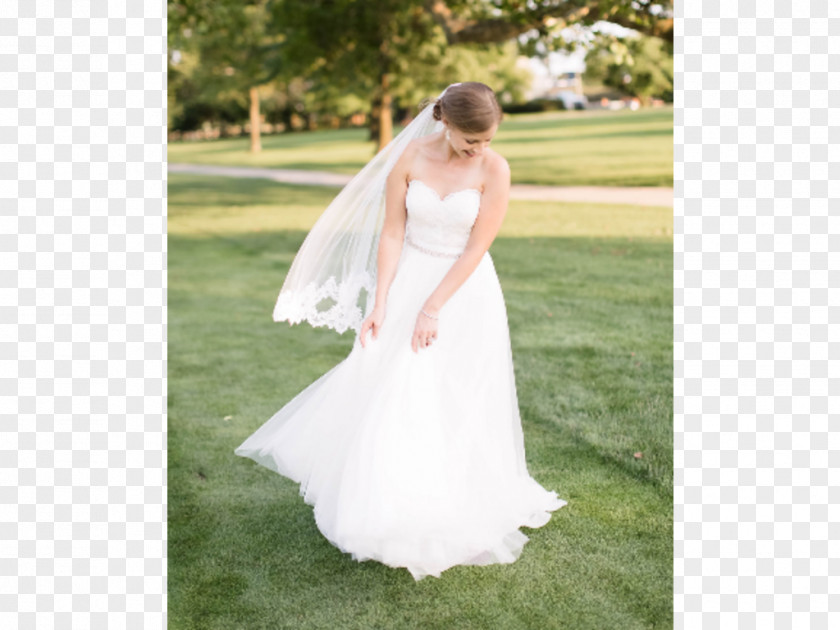 Bride Wedding Dress Veil PNG