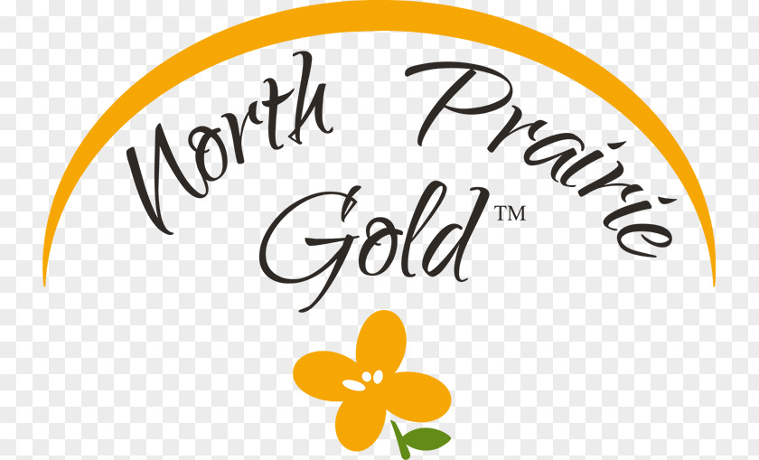 Flower Logo Brand North Prairie Font PNG