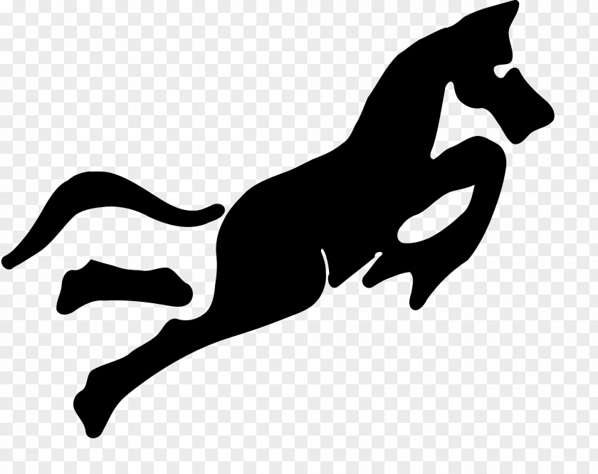 Horse Race Chinese Zodiac Calendar Clip Art PNG