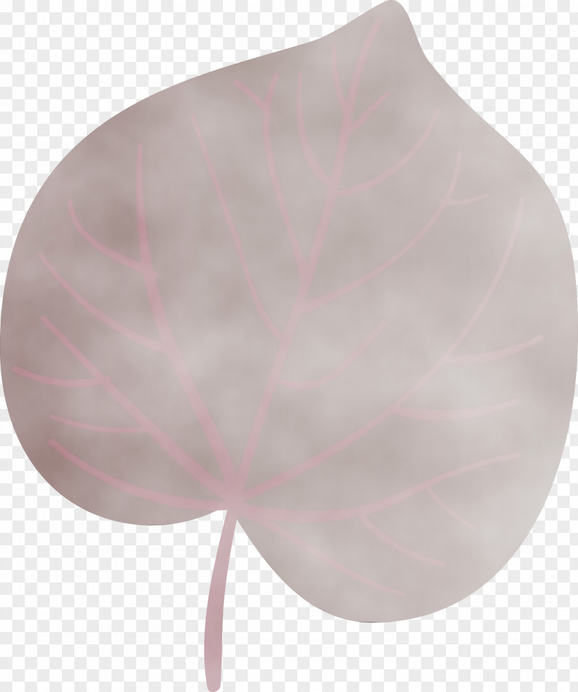 Petal PNG