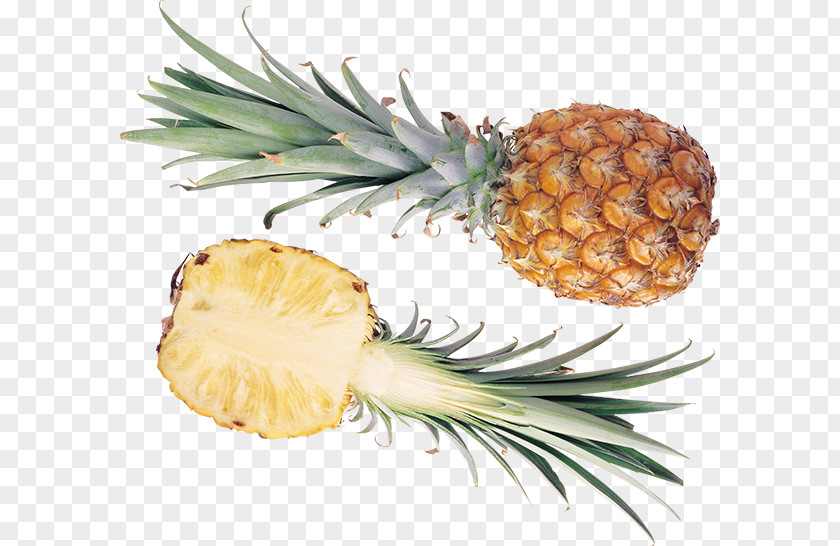 Pineapple Fruit Auglis Lemon Clip Art PNG