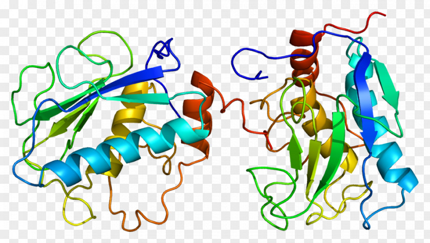 Stromelysin 1 Matrix Metalloproteinase Inhibitor MMP9 PNG