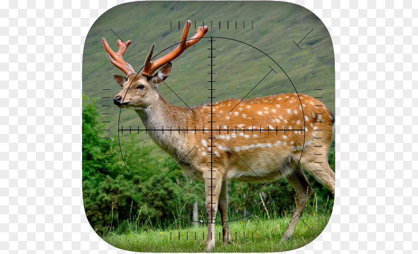 Deer Hunter Sniper: Hunting Game 3D PNG