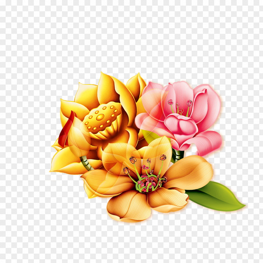 Painting Lotus Nelumbo Nucifera Google Images U82b1u854a Chinoiserie PNG