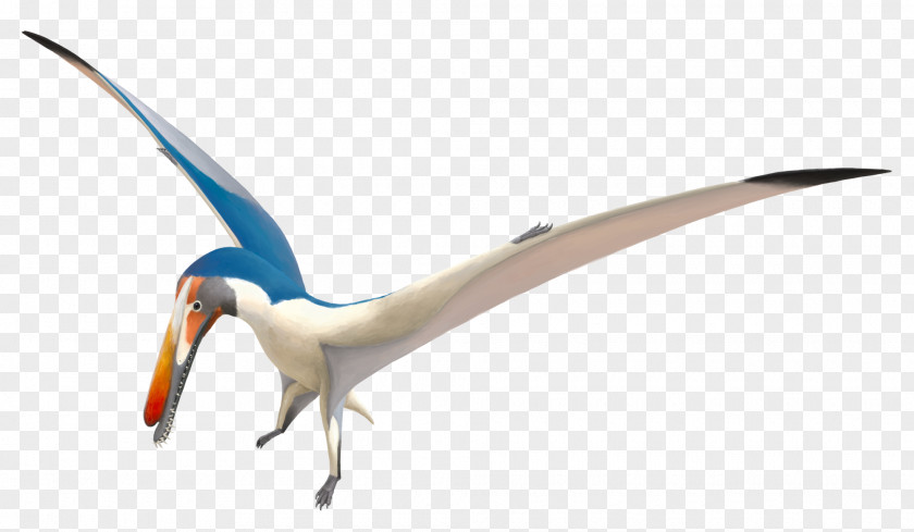 Pterosaurs Pictogram Tugulu Group Haopterus Hamipterus Pteranodontoidea Harpactognathus PNG