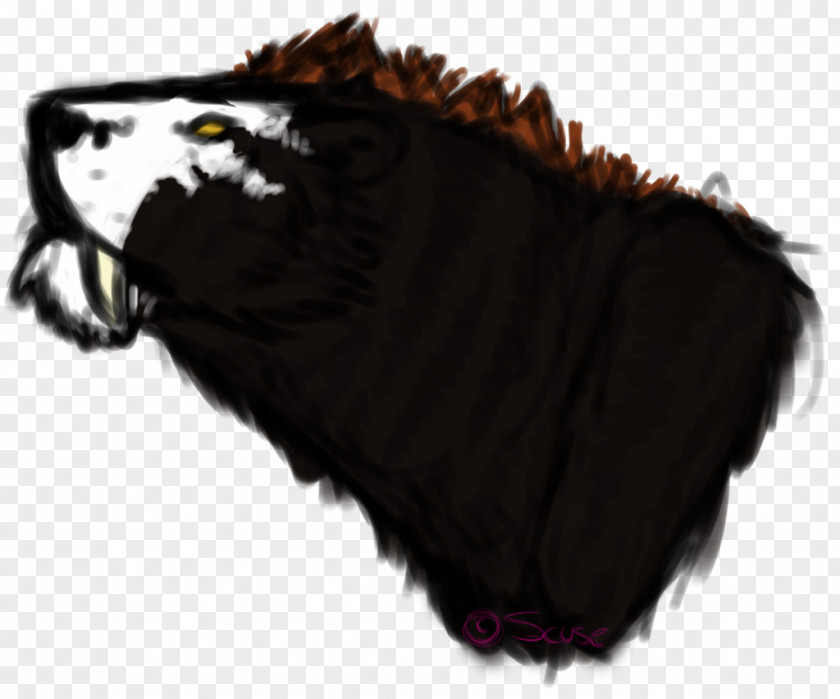 Thwack Snout Fur Carnivora PNG