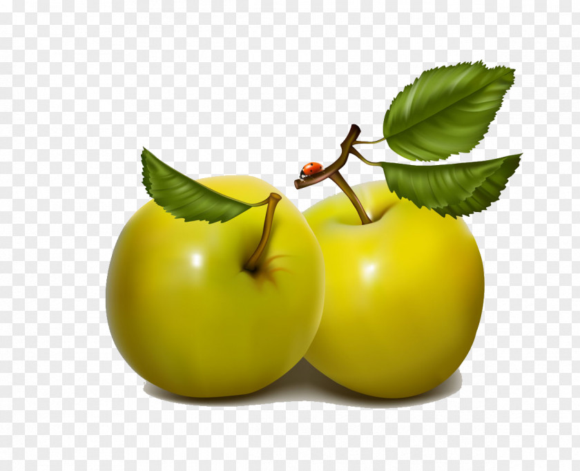 Green Apple Berry PNG