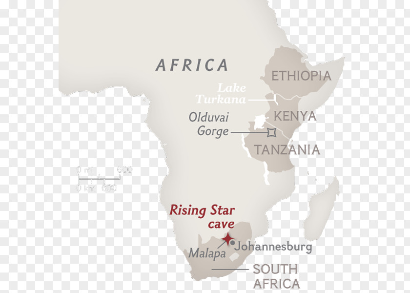 Primitive Human Neanderthal Rising Star Cave Homo Naledi Flores Man Upright PNG