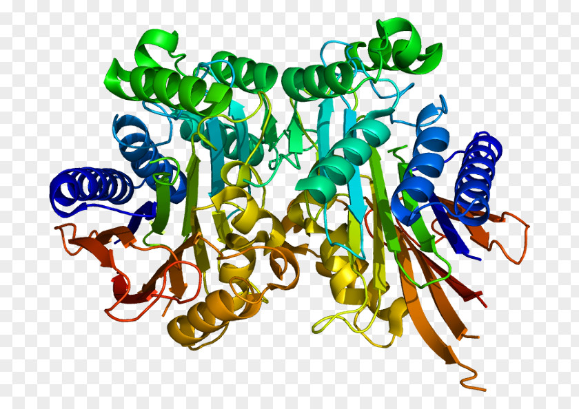TASP1 Protein Gene Enzyme Protease PNG