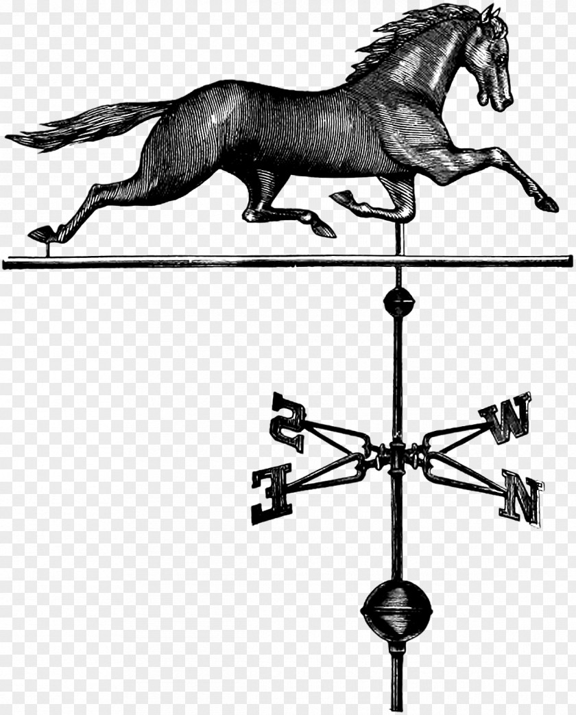 Weathervanes Button Mane Bridle Mustang English Riding Pony PNG