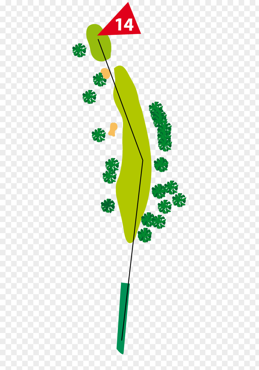 Elderly Driving Range Clip Art Leaf Illustration Plant Stem Line PNG