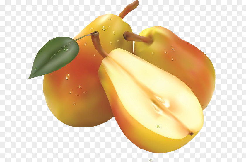 Realistic Pear Fruit Salad Clip Art PNG