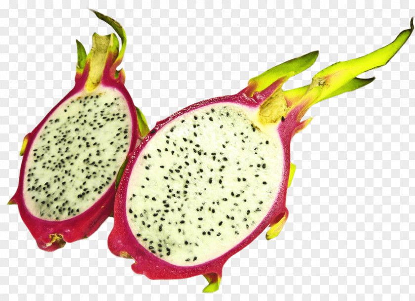 Strawberry Pitaya White-fleshed Pitahaya Fruit Food PNG