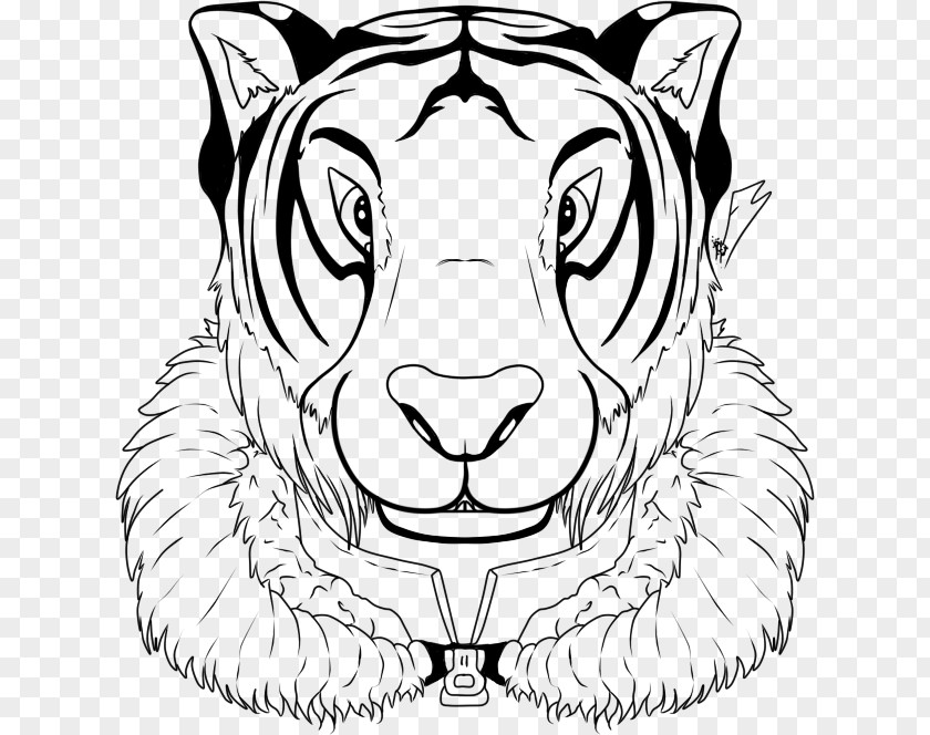 Tiger Whiskers Lion Drawing Clip Art PNG