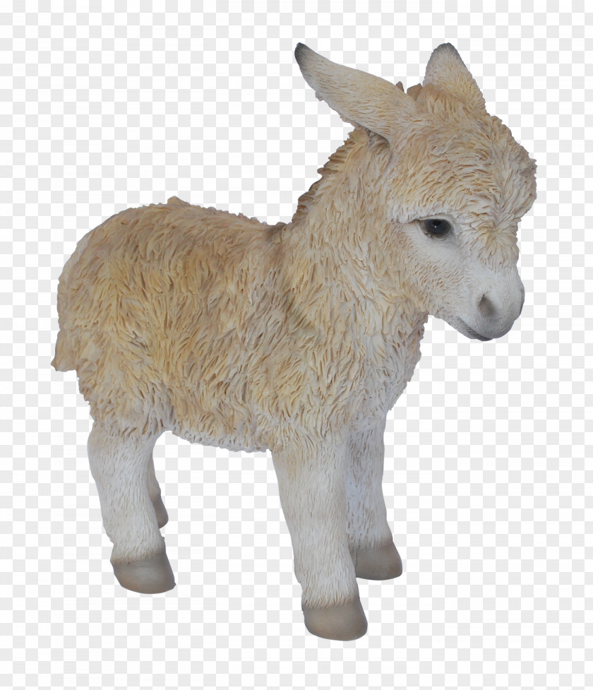 Donkey Child Garden Infant Ornament PNG