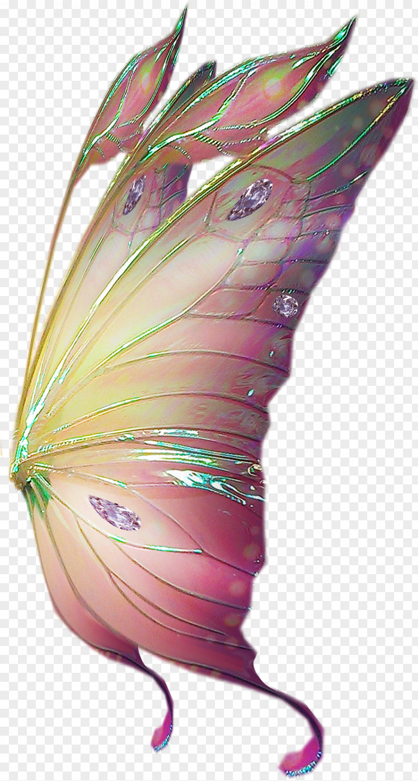 Butterflies Float Moth Purple Fairy PNG