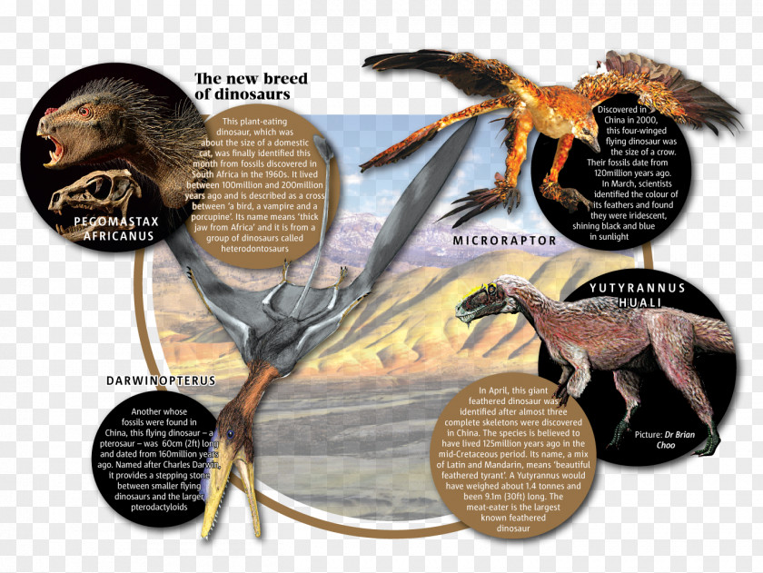 Dinosaur Science Comics: Dinosaurs: Fossils And Feathers Cretaceous–Paleogene Extinction Event Dogs: From Predator To Protector PNG