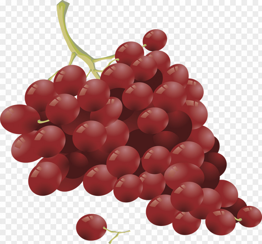 Grapes Border Common Grape Vine Red Wine PNG