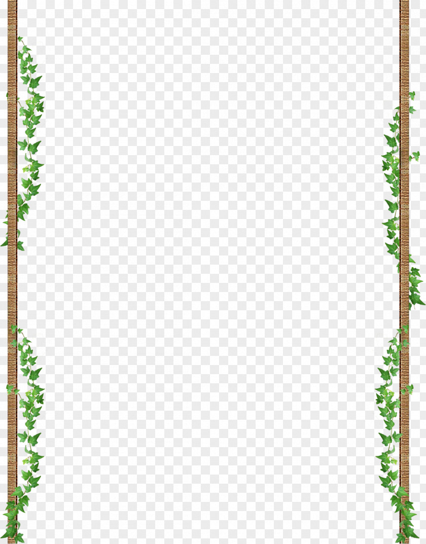 Leaves Border Leaf PNG