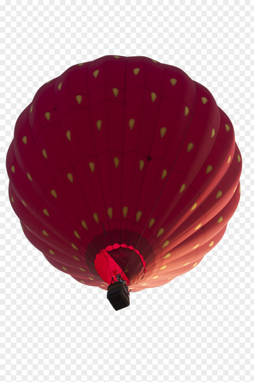 Air Balloon Travel Hot Transportation Airplane PNG