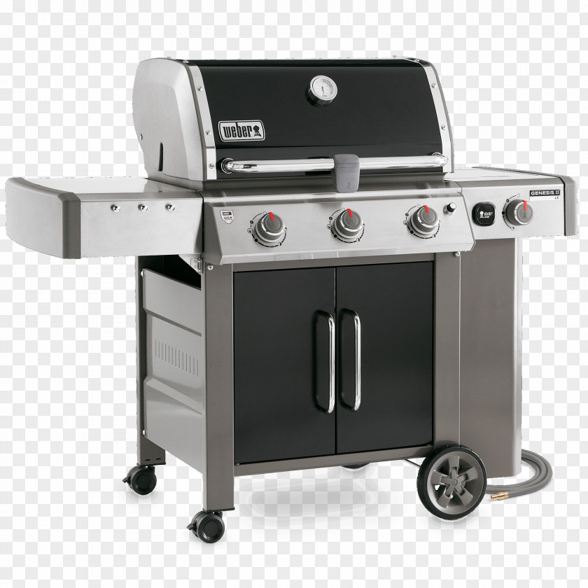 Barbecue Weber Genesis II E-310 LX 340 E-240 E-610 PNG