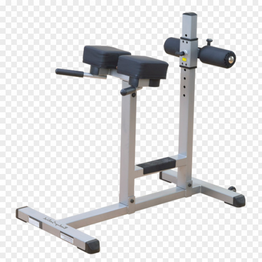 Chair Hyperextension Roman Bench Dip Sit-up PNG