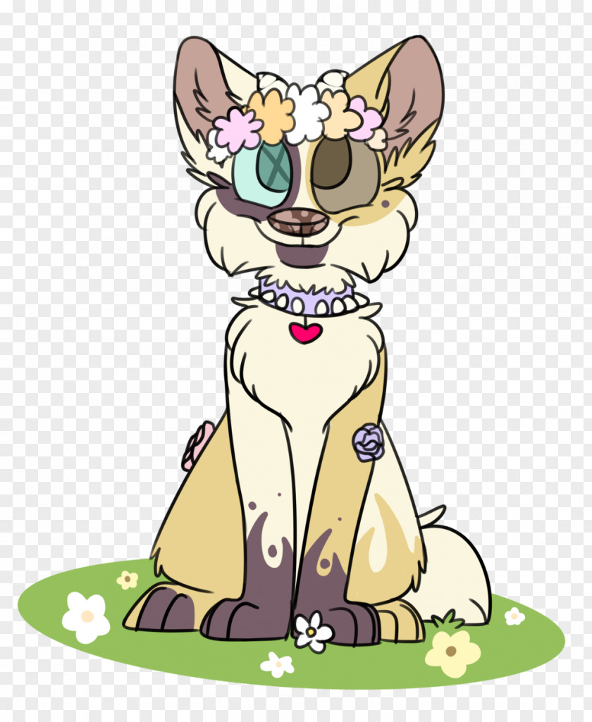 Kitten Whiskers Cat Horse PNG