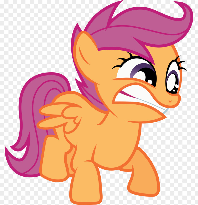My Little Pony Scootaloo Rainbow Dash Derpy Hooves Twilight Sparkle PNG